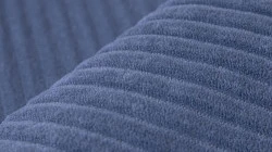 Cilium Indigo